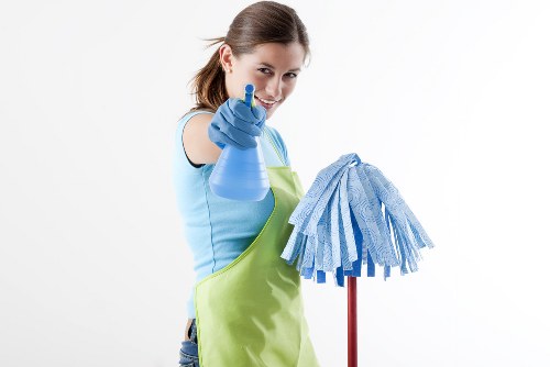 Local domestic cleaning service for homes in E11