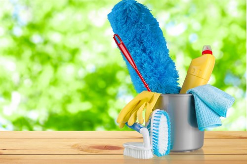 Professional deep cleaning for E11 homes and flats