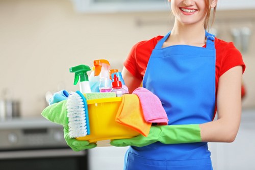 One-off cleaning service for homes and flats in E11