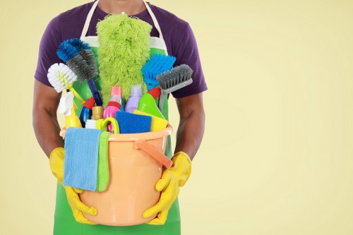 Professional domestic and office cleaning services in E11