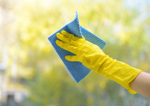 Professional carpet cleaner working in an E11 home living room