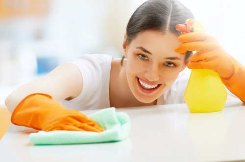 Cleaner treating stains on a living room sofa in E11