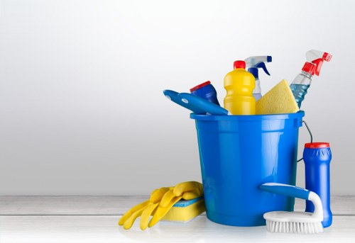 Deep cleaning service for an E11 property