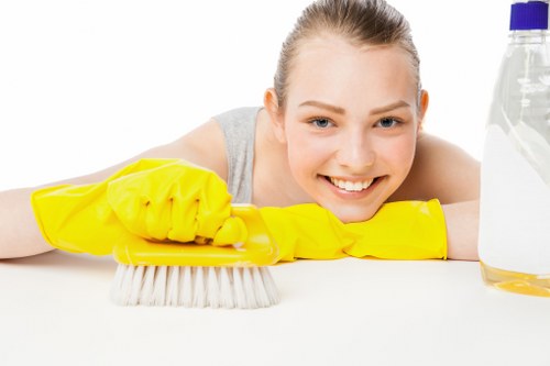 Professional rug cleaning service for homes in E11