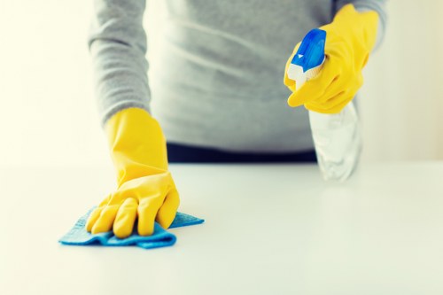 Tailored one-off cleaning appointment in East London E11