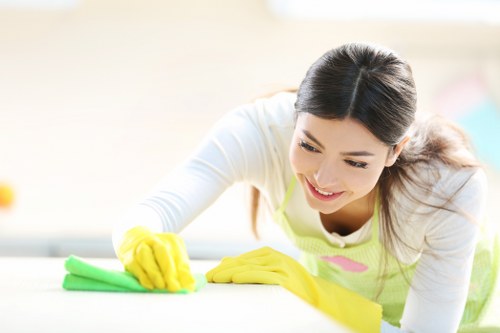 Deep cleaning support for a flat in E11