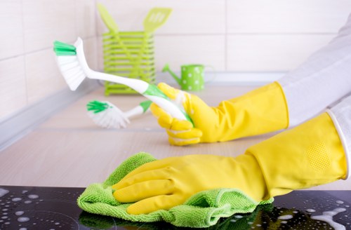 Regular domestic cleaning in an E11 family home
