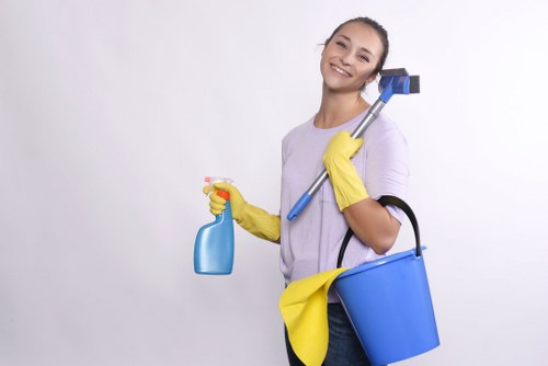 Keyboard navigation and accessible page structure for E11 carpet cleaning
