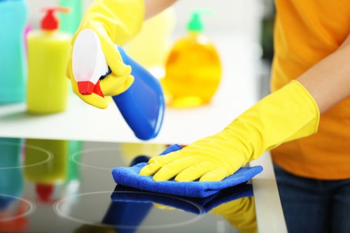 Technician checking carpet cleaning service details