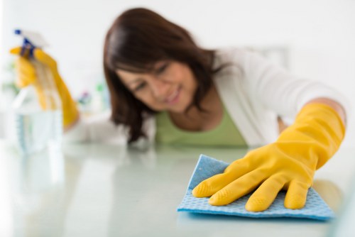 Local window cleaning service handling hard-to-reach windows in E11