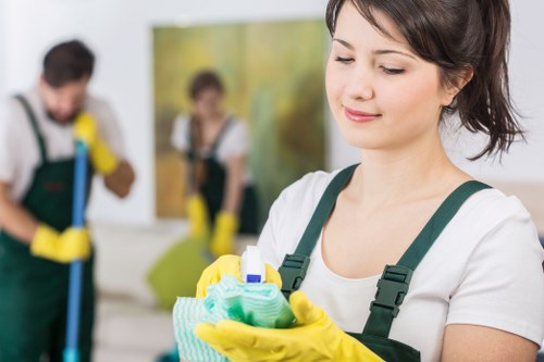 House cleaning for a flat or family home in the E11 area