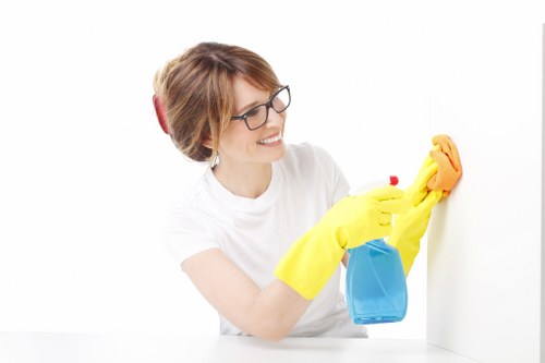 Cleaning a shared office kitchen in E11