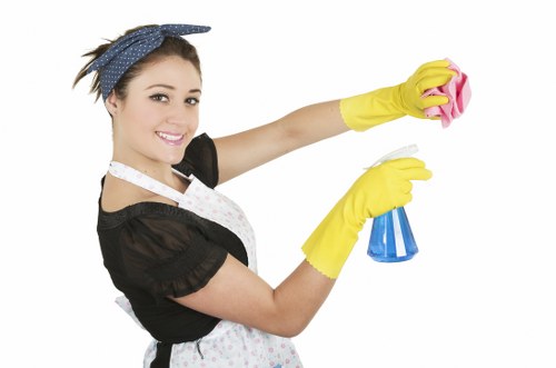 Detailed domestic cleaning service for properties in E11