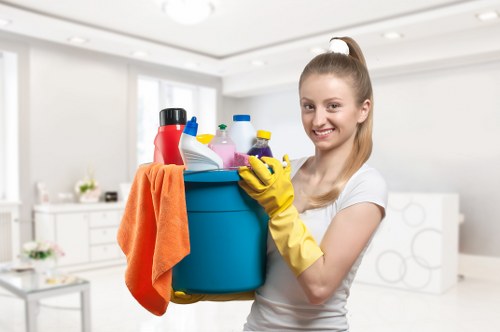 Domestic cleaning service in an E11 kitchen