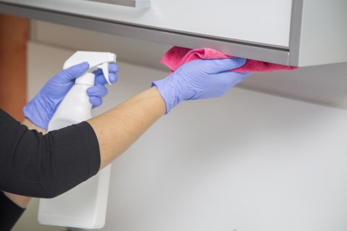 Domestic cleaning visit in E11 for a tidy and refreshed home