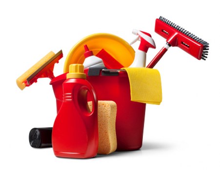 Deep carpet cleaning equipment used in a Leytonstone flat